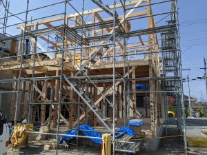 MVIMG_20200403_125252