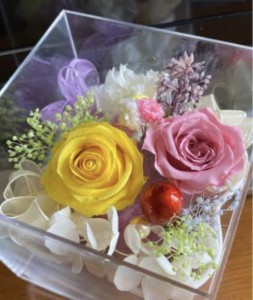 0B9C1DFA-0FE3-429C-8026-CE0D3F1852BC