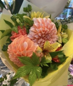 56699A37-EA36-42F5-92F0-1106D3566C3D