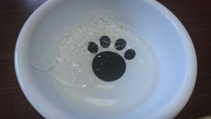 初　氷　(;’∀’)