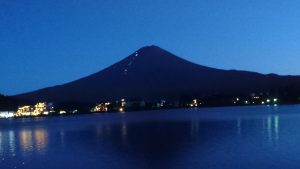 光のコラボ