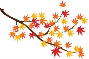 紅葉