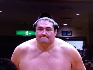 竜電再十両