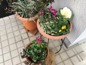 続くといいな。。