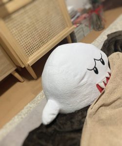 新メンバー *