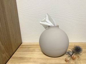 ティッシュケースの進化 *