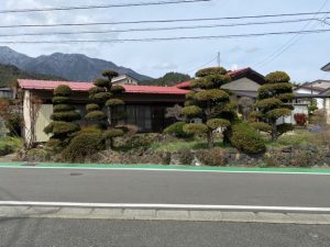 こちらも解体 *