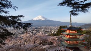 忠霊塔桜祭り