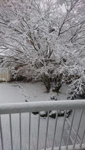 ４月のドカ雪