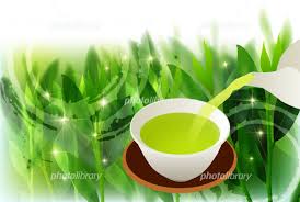 「緑茶の健康効果」