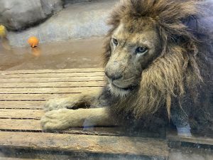 動物園