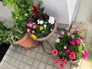 夏の寄せ植え。。