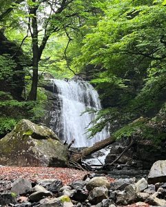 ６月の観測史上最高の暑さに