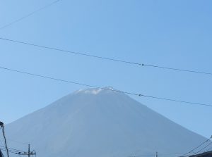 初冠雪