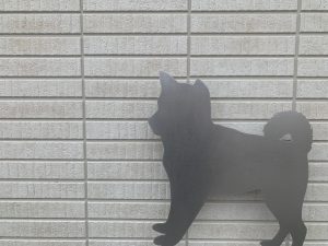 犬 *