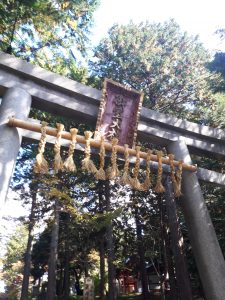 「冨士御室浅間神社しめ縄」