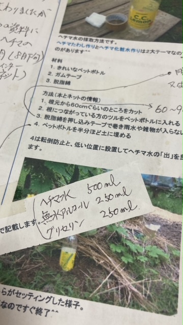 ヘチマ化粧水　☻