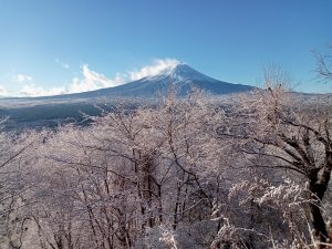 違った景色