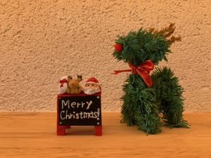 Merry Christmas～ *