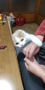 マロンのおやつタイム