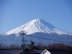 春の訪れ