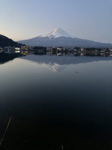 一段と…