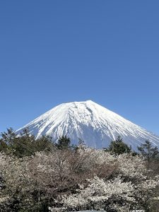 コラボ