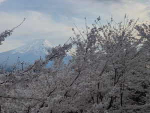 観光地 *