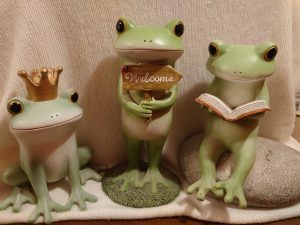 カエル🐸