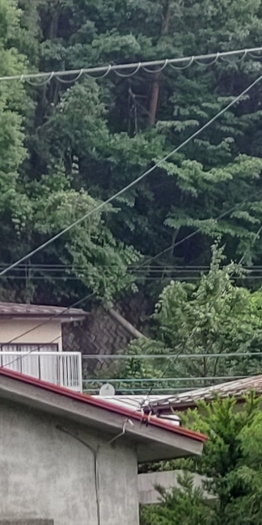台風3号の傷跡