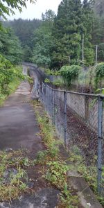 台風の後処理