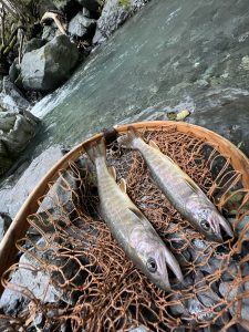 渓流釣り