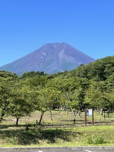 夏の富士山