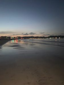 海
