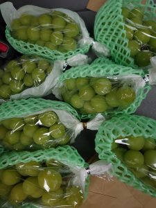 🍇シャインマスカット🍇