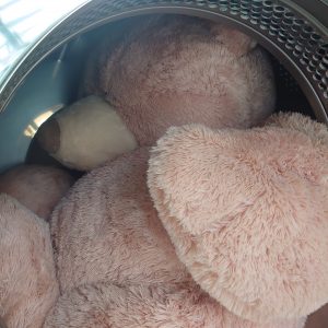 🐻9/30.10/1 感謝祭デビュー🐻