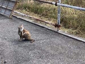 小さなハンター *