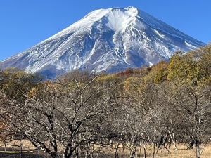 「今朝の富士山」
