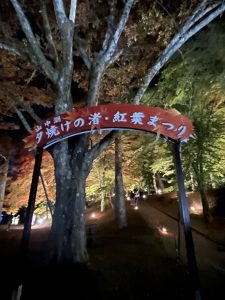 「紅葉祭り」