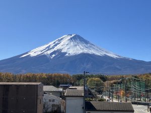 冬本番