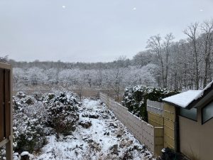 紅富士の湯