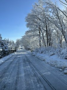 大雪でした!