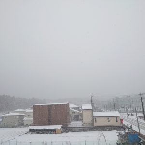 またもや⛄雪⛄