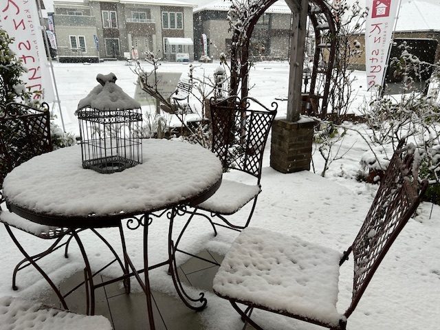 雪。。