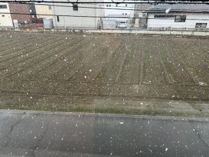 えぇ～雪ですか？