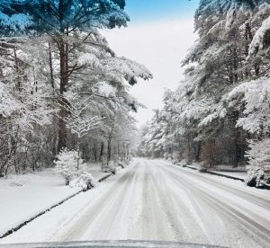 積雪予報 ♣︎