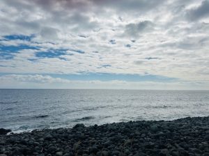 今年初の海 ♣