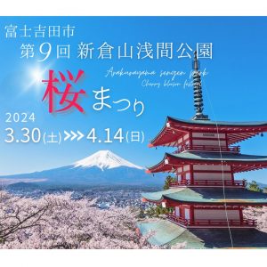 新倉山浅間公園桜祭り始まります ♣