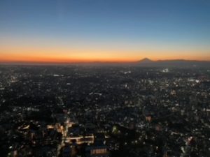 遠目の富士山