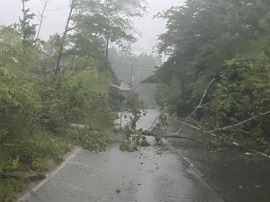 通行止め!!